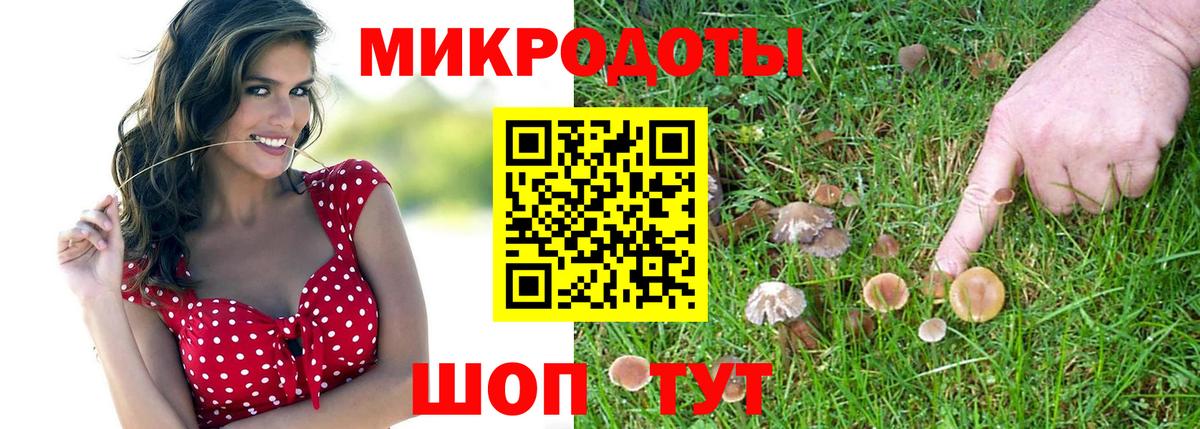 Алапаевск  Псилоцибиновые грибы MAGIC MUSHROOMS  Вход с VPN 