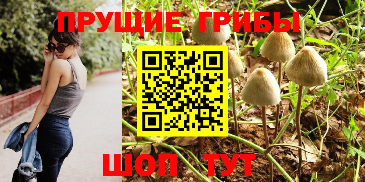 Псилоцибиновые грибы GOLDEN TEACHER Алапаевск